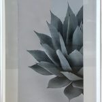 MED - Teal plant