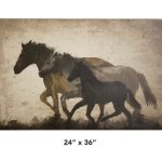 MED - Horses
