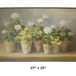 MED - Potted Plants