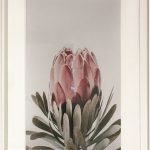 MED - Pink Flower - 25"x37"